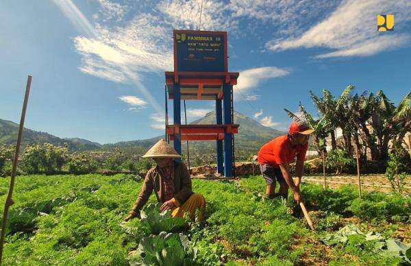 NTP Petani Naik 0,15 Persen, Daya Beli Tetap Terjaga NTP Petani Naik 0,15 Persen, Daya Beli Tetap Terjaga