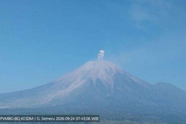 Gunung Semeru Meletus Pagi Ini, Muntahkan Kolom Abu Tebal Setinggi 500 Meter Gunung Semeru Meletus Pagi Ini, Muntahkan Kolom Abu Tebal Setinggi 500 Meter