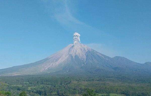 Gunung Semeru Erupsi Pagi Ini, Kolom Abu Capai 1.000 Meter Gunung Semeru Erupsi Pagi Ini, Kolom Abu Capai 1.000 Meter