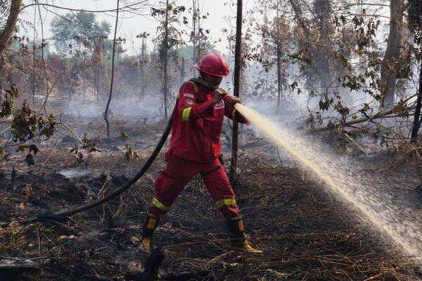 Kemenhut Perkuat Respons Lapangan dan Perlindungan Satwa Liar Kemenhut Perkuat Respons Lapangan dan Perlindungan Satwa Liar