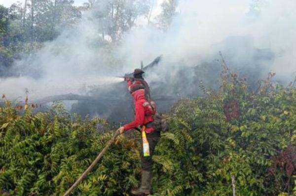 Karhutla di Jambi Capai 300 Hektare, Kapolda Tetapkan 7 Tersangka Karhutla di Jambi Capai 300 Hektare, Kapolda Tetapkan 7 Tersangka