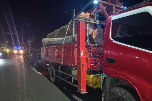 Kecelakaan Maut di Kulonprogo, Pemotor Lansia Tewas Tabrak Truk Berhenti di Jalan Kecelakaan Maut di Kulonprogo, Pemotor Lansia Tewas Tabrak Truk Berhenti di Jalan