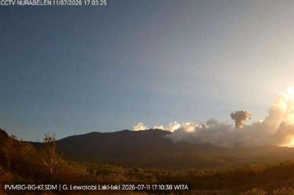Gunung Lewotobi Laki-laki Erupsi, Abu Vulkanis Setinggi 800 Meter Membubung ke Langit Gunung Lewotobi Laki-laki Erupsi, Abu Vulkanis Setinggi 800 Meter Membubung ke Langit