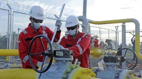 Bor Sumur Semberah-206, Elnusa (ELSA) Lampaui Target Produksi hingga 255 Persen Bor Sumur Semberah-206, Elnusa (ELSA) Lampaui Target Produksi hingga 255 Persen