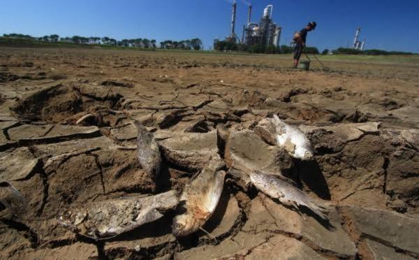 Menhut Sebut El Nino Tahun Ini Sangat Kuat, Lebih Tinggi Dibanding 2015 Menhut Sebut El Nino Tahun Ini Sangat Kuat, Lebih Tinggi Dibanding 2015