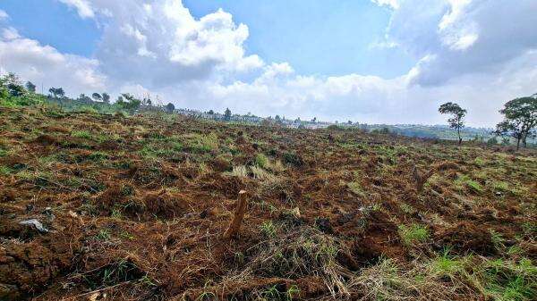 Dukung PLTS 100 GWp, 76 Hektare Lahan di Purwakarta Siap Digarap Dukung PLTS 100 GWp, 76 Hektare Lahan di Purwakarta Siap Digarap