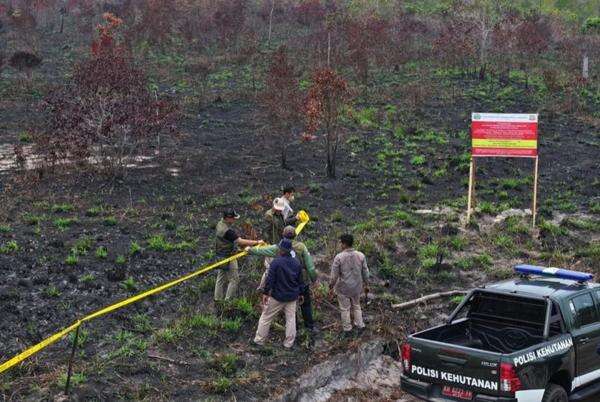 32 Perusahaan Pembakar Hutan Cuma Dikenai Sanksi Administratif, DPR: Negara Jangan Takut Hadapi Korporasi 32 Perusahaan Pembakar Hutan Cuma Dikenai Sanksi Administratif, DPR: Negara Jangan Takut Hadapi Korporasi