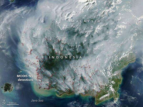 Miris! NASA Rilis Foto Indonesia dari Satelit, Kabut Asap Karhutla Selimuti Semua Wilayah Miris! NASA Rilis Foto Indonesia dari Satelit, Kabut Asap Karhutla Selimuti Semua Wilayah