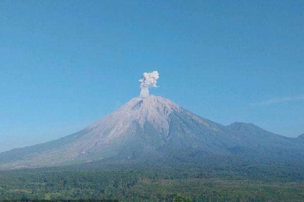 Gunung Semeru kembali Erupsi, Warga Diminta Jauhi Zona Bahaya Gunung Semeru kembali Erupsi, Warga Diminta Jauhi Zona Bahaya