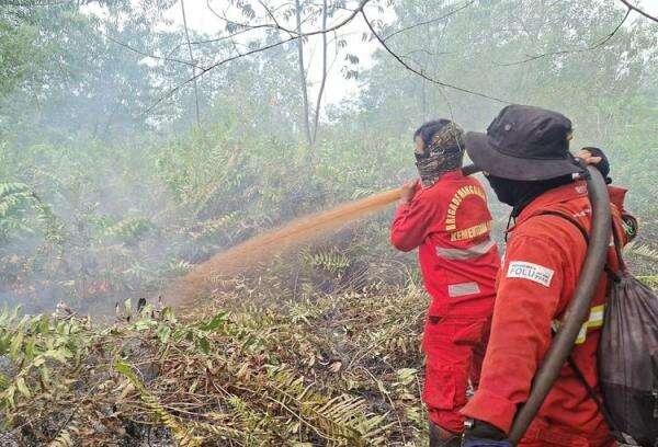Fatal! 5 Perusahaan Ini Biarkan Ribuan Hektare Hutan Terbakar, Izin Dicabut Fatal! 5 Perusahaan Ini Biarkan Ribuan Hektare Hutan Terbakar, Izin Dicabut
