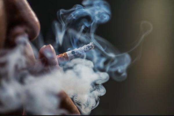 Jangan Coba-Coba! Jual dan Simpan Rokok Ilegal Bisa Dipenjara 5 Tahun Jangan Coba-Coba! Jual dan Simpan Rokok Ilegal Bisa Dipenjara 5 Tahun