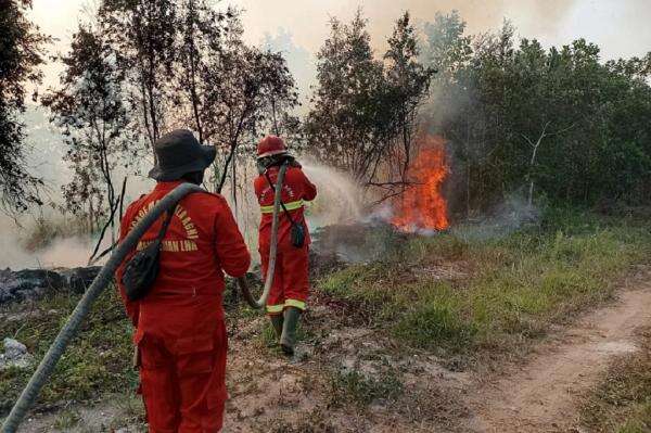 Bertambah, Jumlah Tersangka Kasus Karhutla Capai 89 Orang Bertambah, Jumlah Tersangka Kasus Karhutla Capai 89 Orang