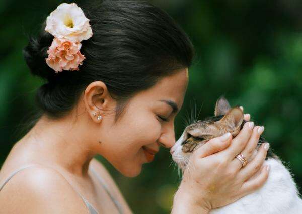 Ariel Tatum Rayakan Ulang Tahun Kucing dengan Tumpeng dan Kado, Tuai Pujian Warganet Ariel Tatum Rayakan Ulang Tahun Kucing dengan Tumpeng dan Kado, Tuai Pujian Warganet