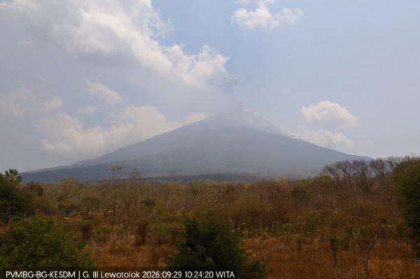 Gunung Ili Lewotolok di NTT Erupsi, Kolom Abu Membubung Setinggi 500 Meter Gunung Ili Lewotolok di NTT Erupsi, Kolom Abu Membubung Setinggi 500 Meter