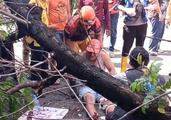 Pohon 8 Meter di Surabaya Tumbang Timpa Tambal Ban, 1 Luka Parah Pohon 8 Meter di Surabaya Tumbang Timpa Tambal Ban, 1 Luka Parah