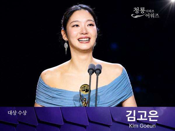 Daftar Lengkap Pemenang Blue Dragon Series Awards, Kim Go Eun Bawa Pulang Daesang Daftar Lengkap Pemenang Blue Dragon Series Awards, Kim Go Eun Bawa Pulang Daesang