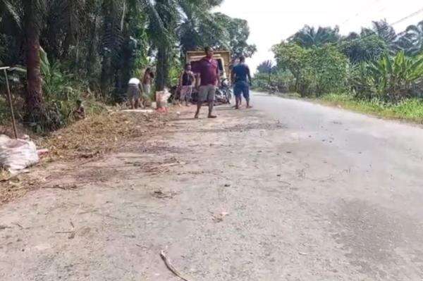 Detik-Detik Truk Sawit Terguling Timpa 10 Siswi SMP di Labuhanbatu, 1 Tewas 2 Luka Berat Detik-Detik Truk Sawit Terguling Timpa 10 Siswi SMP di Labuhanbatu, 1 Tewas 2 Luka Berat