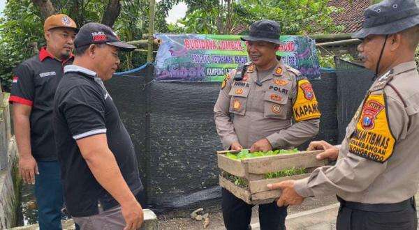 Kapolsek Balongbendo Serahkan 400 Bibit Tanaman untuk Pekarangan Bergizi Desa Kemangsen Kapolsek Balongbendo Serahkan 400 Bibit Tanaman untuk Pekarangan Bergizi Desa Kemangsen