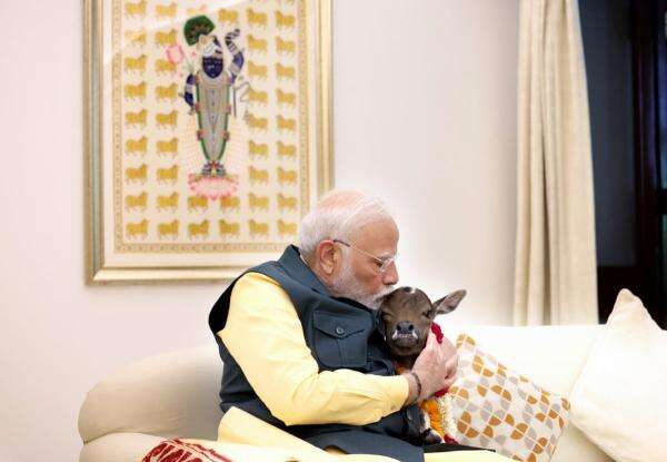Bangun Citra Bertahun-tahun, Kini PM Modi Dikalahkan Gen Z Bangun Citra Bertahun-tahun, Kini PM Modi Dikalahkan Gen Z