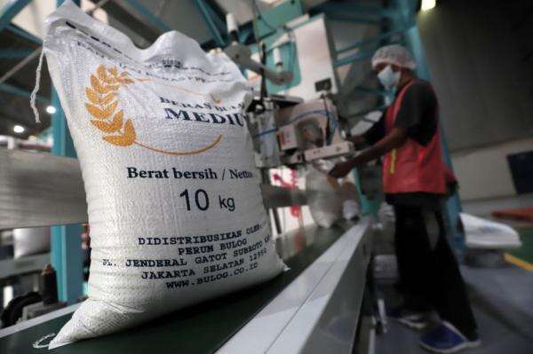 Tepis 5,25 Juta Ton Beras Menumpuk di Gudang, Bulog: Terus Bergerak Tepis 5,25 Juta Ton Beras Menumpuk di Gudang, Bulog: Terus Bergerak