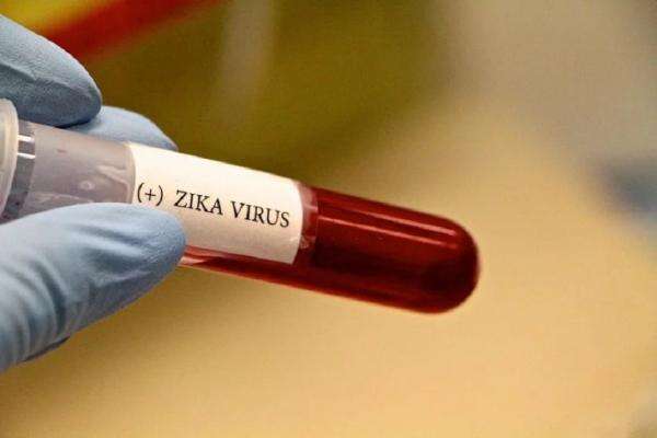 Ada Virus Zika di Bali, CDC Keluarkan Travel Health Notice untuk Wisatawan Ada Virus Zika di Bali, CDC Keluarkan Travel Health Notice untuk Wisatawan