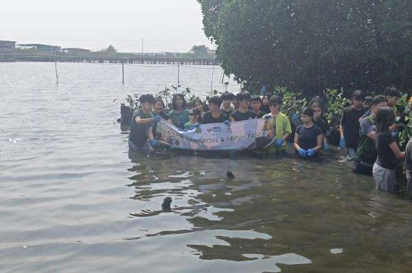 Seeds of Hope dan MNC Peduli Berkolaborasi Tanam 300 Mangrove di Marunda Jakut Seeds of Hope dan MNC Peduli Berkolaborasi Tanam 300 Mangrove di Marunda Jakut