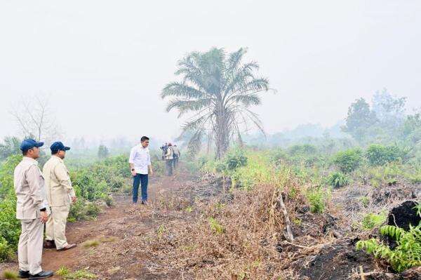Susuri Area Karhutla di Kalbar, Prabowo Ingin Pastikan Penanganan Berjalan Optimal Susuri Area Karhutla di Kalbar, Prabowo Ingin Pastikan Penanganan Berjalan Optimal