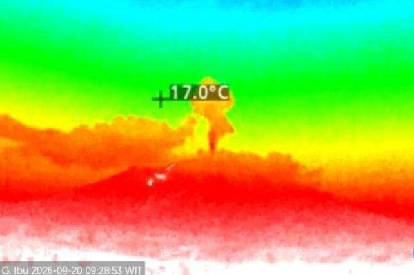 Gunung Ibu Erupsi Pagi Ini, Kolom Abu Capai 800 Meter di Atas Puncak Gunung Ibu Erupsi Pagi Ini, Kolom Abu Capai 800 Meter di Atas Puncak