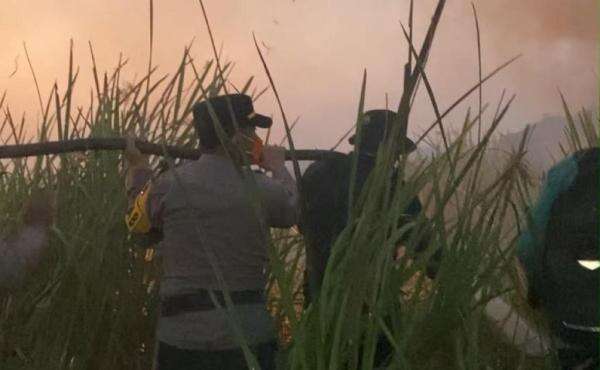 Karhutla di Way Kambas Padam, 200 Personel Gabungan Masih Siaga Cegah Api Kembali Karhutla di Way Kambas Padam, 200 Personel Gabungan Masih Siaga Cegah Api Kembali