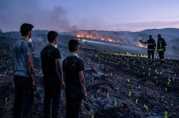 Karhutla Landa Kawasan Gunung Merapi Magelang, 4 Hektare Hutan Hangus Terbakar Karhutla Landa Kawasan Gunung Merapi Magelang, 4 Hektare Hutan Hangus Terbakar