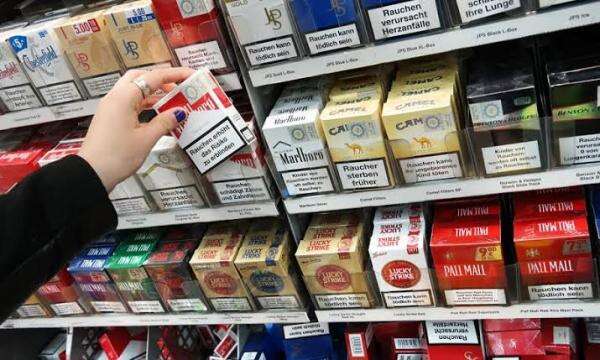 Tar-Nikotin dan Varian Rasa Dibatasi, Penerimaan Cukai Rokok Bisa Tergerus hingga Rp48 Triliun Tar-Nikotin dan Varian Rasa Dibatasi, Penerimaan Cukai Rokok Bisa Tergerus hingga Rp48 Triliun
