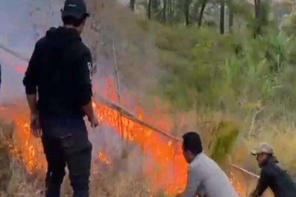 Karhutla di Kawasan Wisata Pohon Pinus Malino Gowa, 2 Hektare Lahan Terbakar Karhutla di Kawasan Wisata Pohon Pinus Malino Gowa, 2 Hektare Lahan Terbakar
