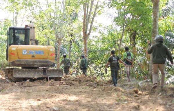 Pembukaan Jalan Ilegal di TNBBS Ditindak Kemenhut, Alat Berat Disita Pembukaan Jalan Ilegal di TNBBS Ditindak Kemenhut, Alat Berat Disita