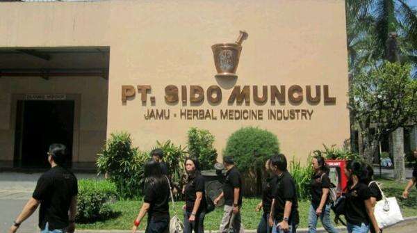 Penjualan Jamu dan Suplemen Lesu, Laba Sidomuncul (SIDO) Turun 44 Persen Penjualan Jamu dan Suplemen Lesu, Laba Sidomuncul (SIDO) Turun 44 Persen