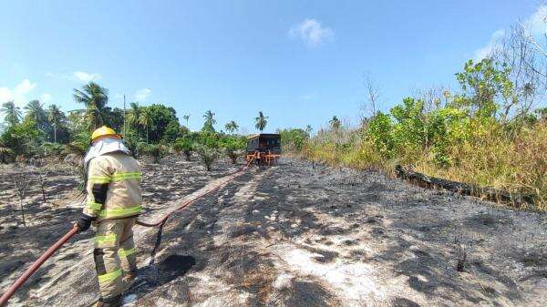Karhutla Kalimantan Dekati Kawasan IKN, Badan Otorita Siapkan Water Bombing di 5 Titik Karhutla Kalimantan Dekati Kawasan IKN, Badan Otorita Siapkan Water Bombing di 5 Titik