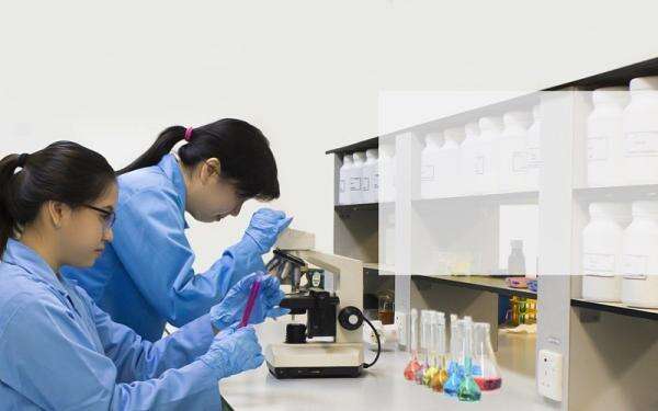 SOHO Jual Seluruh Saham Pfizer Indonesia SOHO Jual Seluruh Saham Pfizer Indonesia