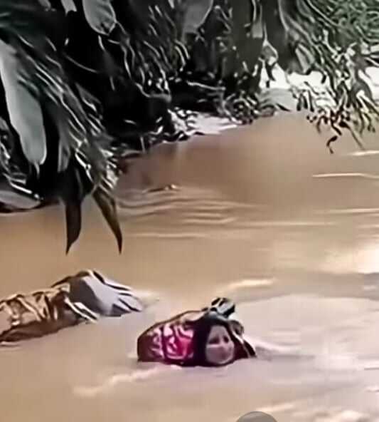 Kisah Heroik Bidan Dona di Pelosok : Terjang Sungai Deras Demi Pasien Kisah Heroik Bidan Dona di Pelosok : Terjang Sungai Deras Demi Pasien
