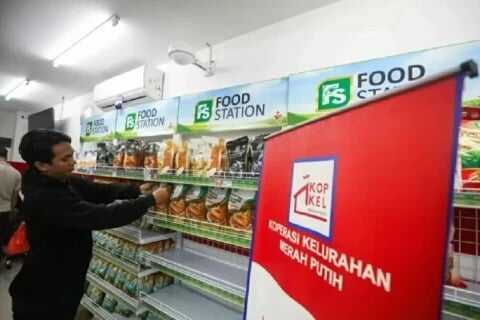 Terungkap Status Manajer Kopdes: Kontrak 2 Tahun di Bawah Agrinas Terungkap Status Manajer Kopdes: Kontrak 2 Tahun di Bawah Agrinas