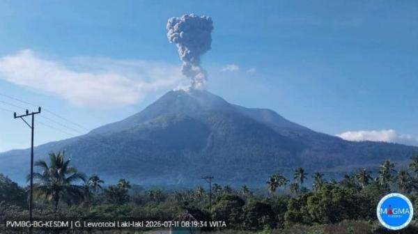 Gunung Lewotobi Laki-Laki Erupsi Lagi Pagi Ini, Kolom Abu Capai 1 Km Gunung Lewotobi Laki-Laki Erupsi Lagi Pagi Ini, Kolom Abu Capai 1 Km