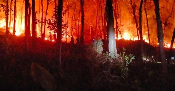 Karhutla Masih Melanda Sejumlah Wilayah, BNPB: Berhasil Dipadamkan Karhutla Masih Melanda Sejumlah Wilayah, BNPB: Berhasil Dipadamkan