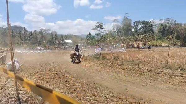 Seru! Pesta Panen Kading Cap Race 2026, Puluhan Joki Taksi Gabah Adu Cepat di Barru Seru! Pesta Panen Kading Cap Race 2026, Puluhan Joki Taksi Gabah Adu Cepat di Barru