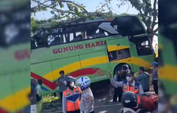 Bus Gunung Harta Tabrak 2 Pohon di Tuban gegara Sopir Tersedak Kopi saat Nyetir Bus Gunung Harta Tabrak 2 Pohon di Tuban gegara Sopir Tersedak Kopi saat Nyetir