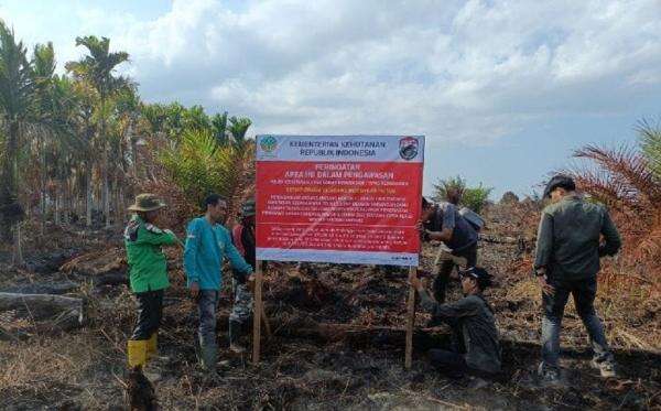 Kemenhut Usut Karhutla Hutan Produksi di Musi Banyuasin, Langsung Segel Lahan Kemenhut Usut Karhutla Hutan Produksi di Musi Banyuasin, Langsung Segel Lahan