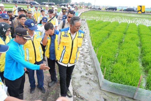 Kementerian PU Siapkan Tambahan Sumur Dalam dan Irigasi Tersier untuk Hadapi El Nino Kementerian PU Siapkan Tambahan Sumur Dalam dan Irigasi Tersier untuk Hadapi El Nino