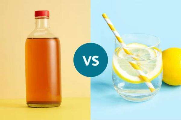 Cuka Sari Apel Vs Air Lemon: Mana yang Lebih Sehat untuk Tubuh? Cuka Sari Apel Vs Air Lemon: Mana yang Lebih Sehat untuk Tubuh?
