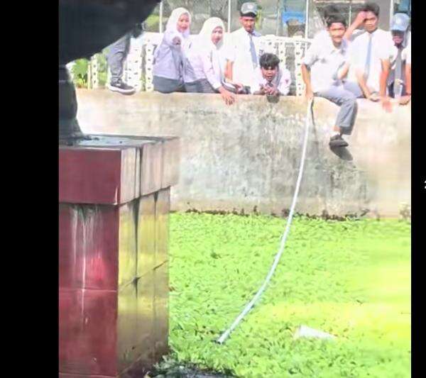 Viral Siswa SMAN 10 Makassar Kompak Selamatkan Kucing yang Tercebur di Kolam Sekolah Viral Siswa SMAN 10 Makassar Kompak Selamatkan Kucing yang Tercebur di Kolam Sekolah