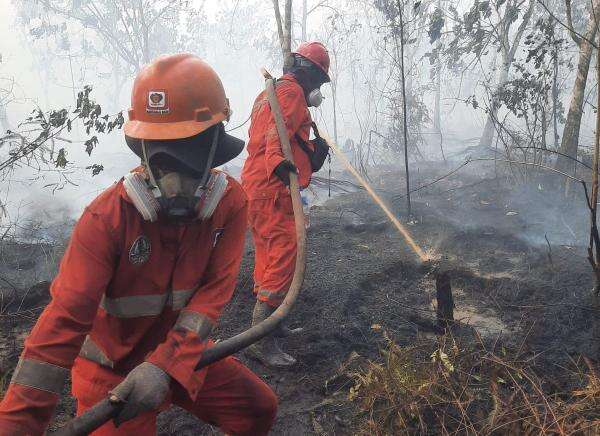12.880 Personel Gabungan Dikerahkan Tangani Karhutla di 3 Provinsi Kalimantan 12.880 Personel Gabungan Dikerahkan Tangani Karhutla di 3 Provinsi Kalimantan
