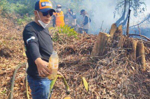 Kebakaran Lahan di Samarinda Terjadi 2 Kali dalam Sehari, Petugas Temukan Botol Berisi Solar Kebakaran Lahan di Samarinda Terjadi 2 Kali dalam Sehari, Petugas Temukan Botol Berisi Solar