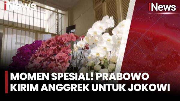 HUT ke-65 Jokowi, Presiden Prabowo Kirim Karangan Bunga Anggrek Ungu ke Solo HUT ke-65 Jokowi, Presiden Prabowo Kirim Karangan Bunga Anggrek Ungu ke Solo