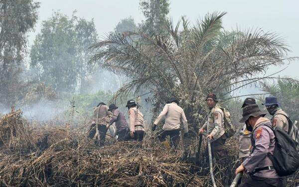 Polri Ungkap 45 Kasus Karhutla di Riau, 49 Orang Jadi Tersangka Polri Ungkap 45 Kasus Karhutla di Riau, 49 Orang Jadi Tersangka